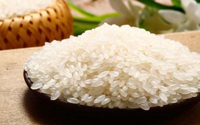 “五常大米”真假难辨